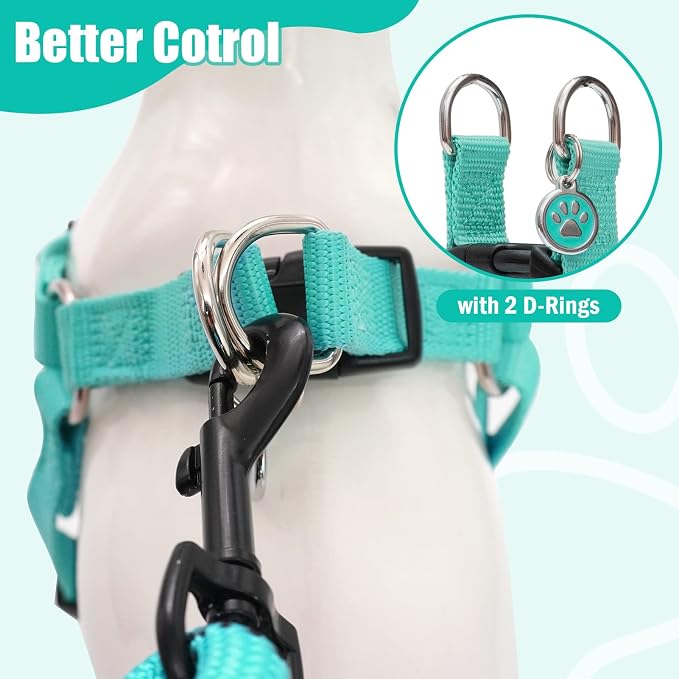 PUPTECK No Pull Dog Harness Soft Adjustable Basic Nylon Step in Puppy Vest Outdoor Walking with ID Tag