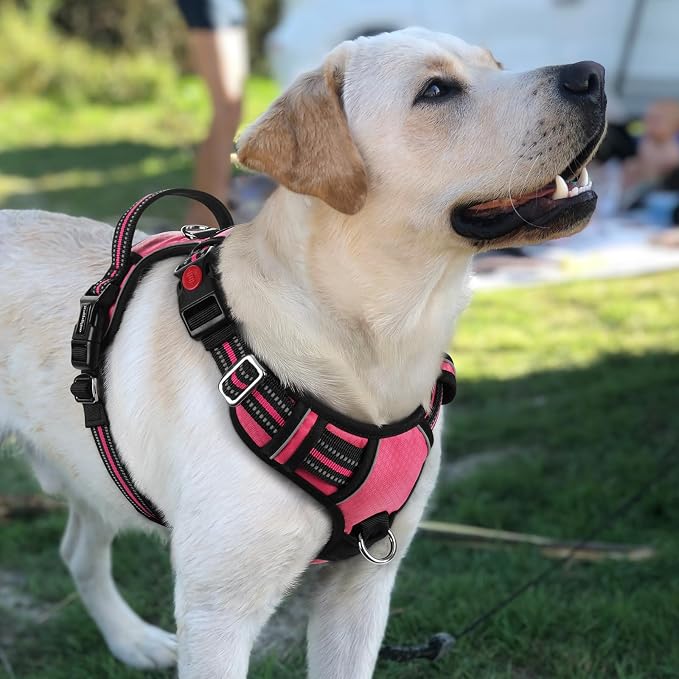 rabbitgoo Dog Harness for Large Dogs, 3 Buckles Easy On & Off No Pull Pet Vest, Soft Padded Walking Pet Harness with Control Handle, Adjustable and Reflective, Pink, L