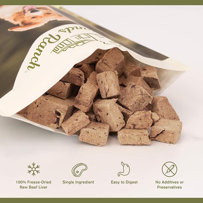 BADLANDS RANCH by Katherine Heigl – Superfood Bite Freeze-Dried Raw Beef Liver Dog Treats – High Protein Single-Ingredient Snacks for Training, Rewards & Daily Wellness