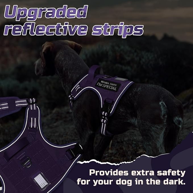 rabbitgoo Tactical Dog Harness for Large Dogs, No Pull Military Service Vest with Handle & Molle, Easy Control for Training Walking, Adjustable Reflective Straps, Purple, L