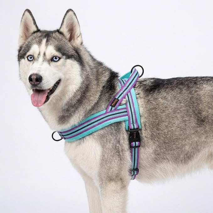 Didog Soft Flannel Padded Dog Vest Harness, No Pull/Quick Fit Reflective Dog Strap Harness, Easy for Training Walking (M:Chest 21-26", Mixed-Blue)