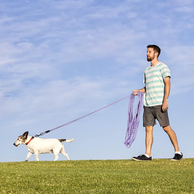 Long Dog Leash for Training 50Ft-Reflective Nylon Rope with Swivel Hook-Recall Agility Lead for Large Small Medium Dogs Outside Walking Hiking-Purple Diam 1/2"