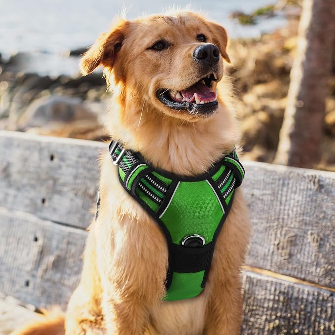 rabbitgoo Dog Harness for Large Dogs, 3 Buckles Easy On & Off No Pull Pet Vest, Soft Padded Walking Pet Harness with Control Handle, Adjustable and Reflective, Green, XL