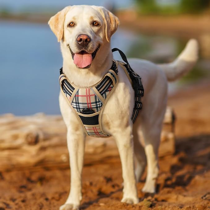 rabbitgoo Dog Harness No Pull with 2 Leash Clips, Adjustable Soft Padded, Reflective Oxford No Choke Pet Vest with Easy Control Handle for Large Dogs, Beige Plaid, L