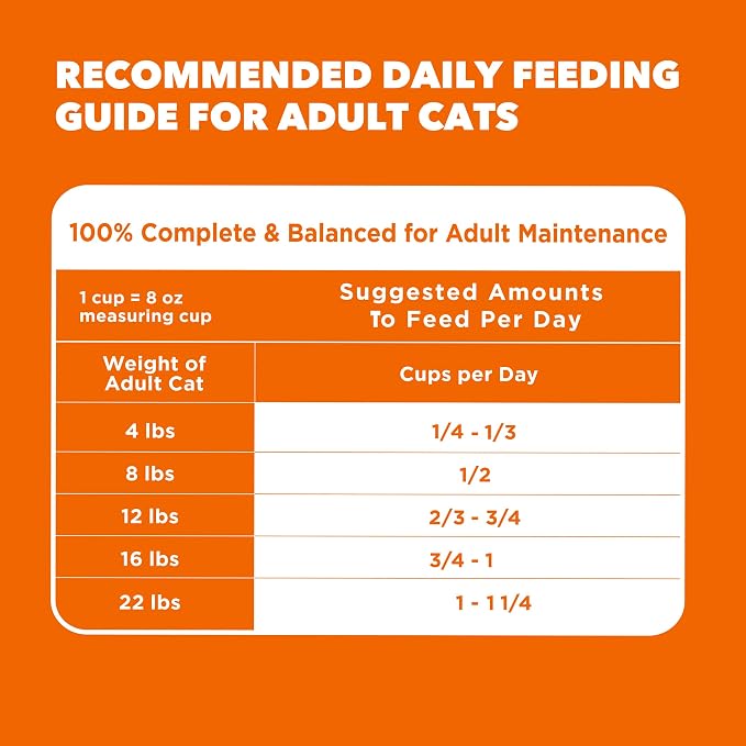 IAMS Proactive Health Dry Cat Food, Healthy Cat Food Dry Recipe for Adults, Salmon, 16 lb. Bag