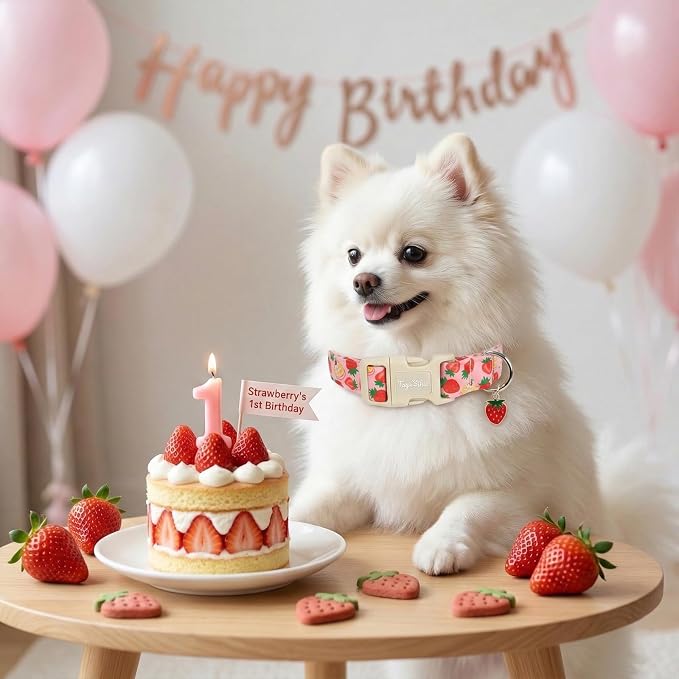 Dog Collar with Strawberry Patterns, Spring Summer Collection Pink Dog Collar with Exquisite Pendant, Durable Adjustable Collars for Gifts & Daily Use-M