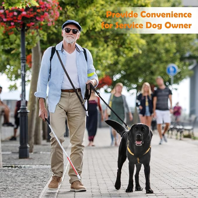 Guiding Star 8ft Leather Dog Leash - Soft Multi-function 6 in 1 Training Walking Leash, Hands Free, Dual, Crossbody for Small, Medium and Large Dogs, Service Dogs, Black
