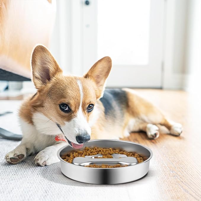Stainless Steel Slow Feeder Dog Bowls,2 Pcs Slow Food Bowl for Dog & Cat - 2 Cups Capacity,Bone-Shaped Design Pet Food Holder,Metal Non-Slip Lick Plate,Puzzle Maze Dish for Small & Medium Sized Breeds