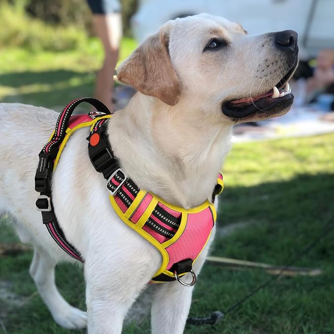 rabbitgoo Dog Harness for Large Dogs, 3 Buckles Easy On & Off No Pull Pet Vest, Soft Padded Walking Pet Harness with Control Handle, Adjustable and Reflective, Pink & Yellow, L
