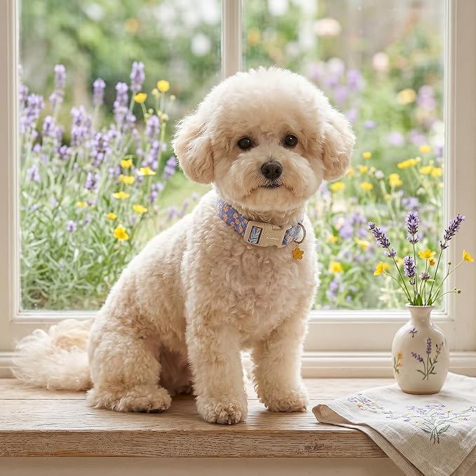 Floral Dog Collar,Blue Flower Printed Adjustable Cotton Puppy Dog Collar for Medium Dogs,Cute Girl Boy Dog Collar Ideal Daily Use,M