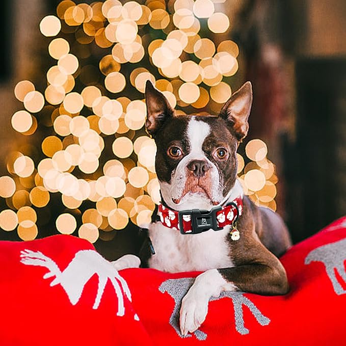 Lionheart Glory Christmas Dog Collar Red Santa Claus Dogs Collar - Adjustable Safety Soft Collars for Small Dogs Puppy Girl or Boy Xmas Pet Collars Holiday