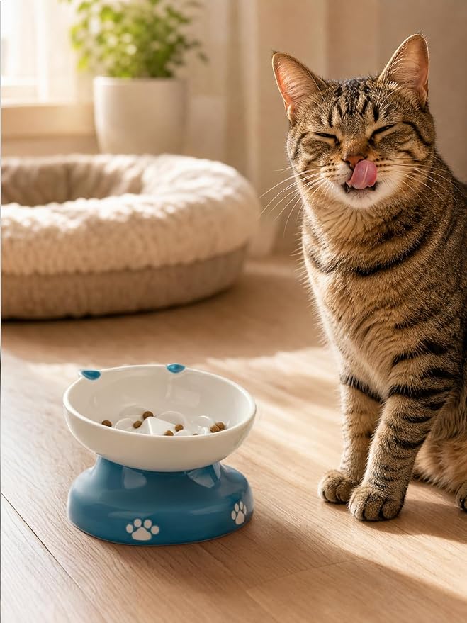 Y YHY Ceramic Slow Feeder Cat Bowl, Elevated Cat Bowl Tilted Design Slow Feeder for Dog and Cat for Dry and Wet Food, Blue