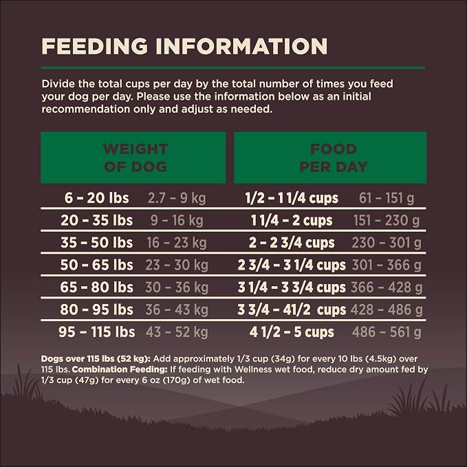 Wellness CORE Adult Dry Dog Food, Grain Free Kibble, Natural, High Protein, Lamb Recipe, 22 lb Bag