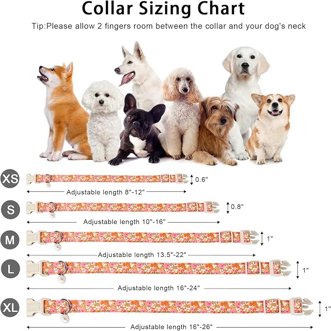 ARING PET Spring Summer Dog Collar, Cute Daisy Wildflower Floral Blossom Pet Collars for Small Medium Large Girl Dogs-M Size