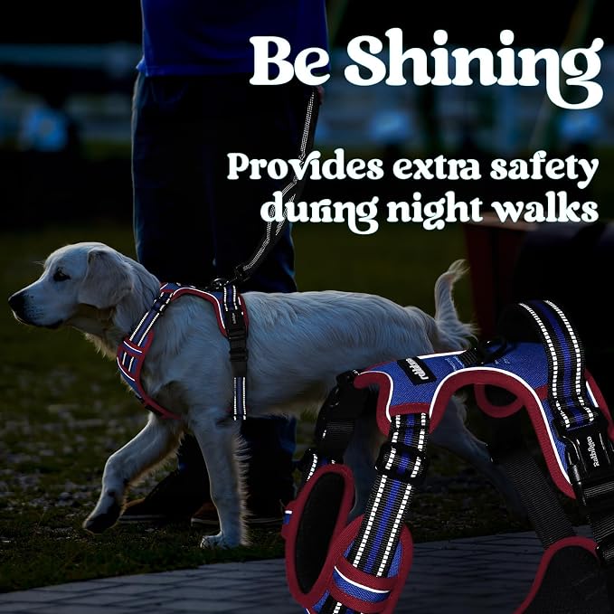rabbitgoo Dog Harness Small Sized, No Pull Easy On & Off with 3 Buckles Pet Harness, Adjustable Soft Walking Vest with 2 Clips and Handle, Reflective for Small Dogs, Royal Blue & Red, S