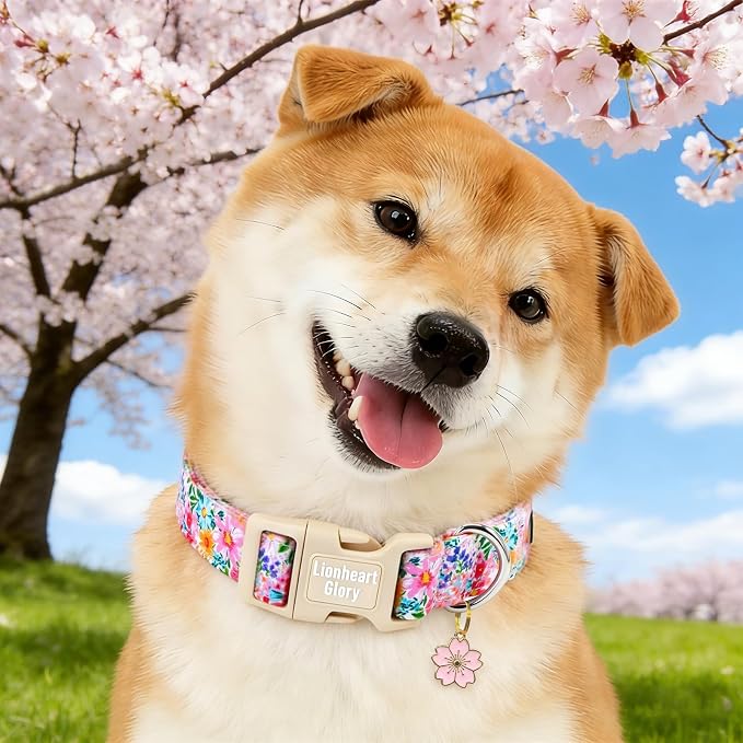 Lionheart Glory Spring Summer Dog Collar - Soft and Adjustable Dog Collars with Plastic Buckle Colorful Wildflower Pattern Dogs Collar for Small Dogs Puppy Male Female Pet Collars S