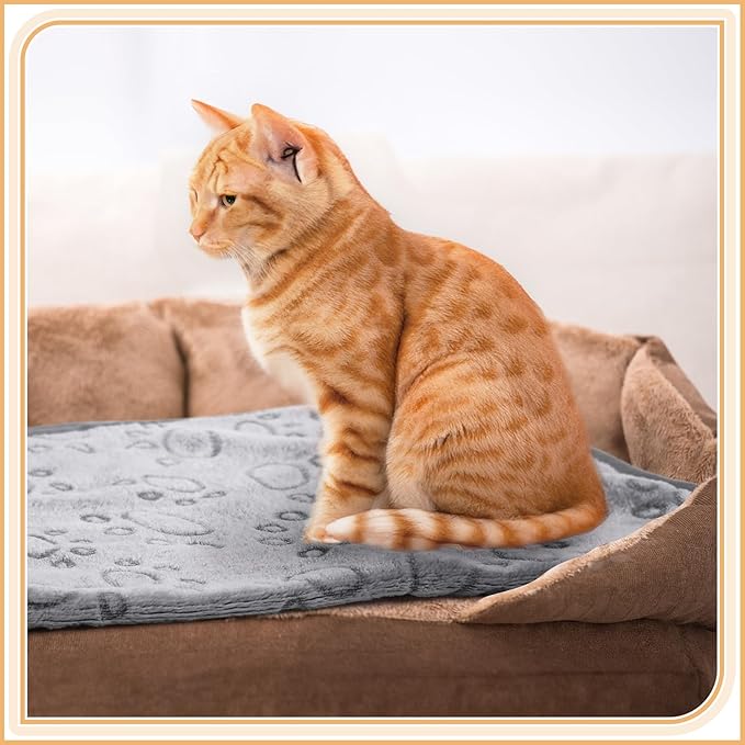 Tegeme 12 Pcs Pet Blankets 30 x 20 Inch Soft Fluffy Fleece Dog Cat Warm Paw Print Pattern Blankets Flannel Throw for Pets Dog Puppy Cat(Gray)