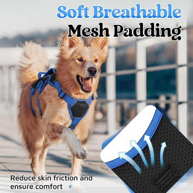 rabbitgoo Escape Proof Dog Harness Large Dogs, Soft Padded Full Body Pet Harness, Reflective Adjustable No Pull Vest with Lift Handle and Leash Clip for Walking Hiking Training, Blue & Black, L