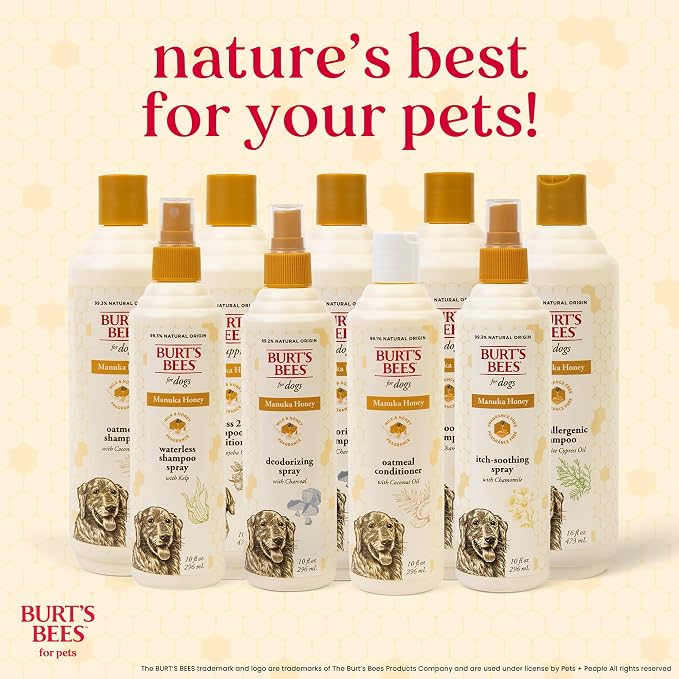 Burt's Bees for Pets Manuka Honey Oatmeal Conditioner for Dogs, Colloidal Oatmeal, 95%+ Natural Origin, No Sulfates, Parabens or Phthalates, Leaves Coat Soft & Shiny, Milk & Honey Scent, 10 Fl Oz