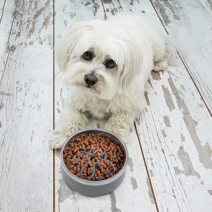 Jaoul Slow Feeder Dog Bowls Insert, Puzzle Slow Feeder Insert with 21 Octopus Suction Cups for Small Breed Dog Food Bowls (4 inch, Grey)