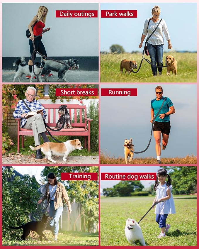 Double Dog Leash - Two Dog Leash No Tangle Design, 3-in-1 Adjustable Waist Belt for Two Dogs, Detachable Dual Leashes or Single Belt, Suitable for Dogs for Training, Running and Walking.