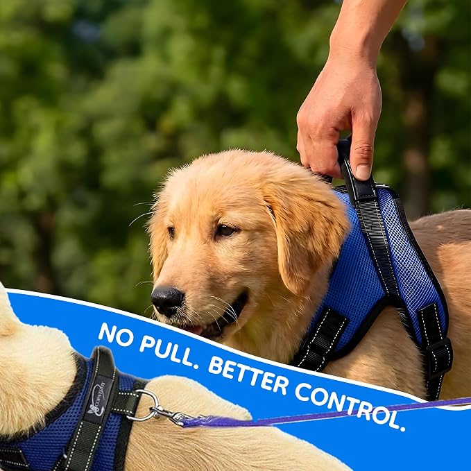 No Pull Reflective Adjustable Dog Harness With Handle- Comfortable Soft All Weather Mesh, Easy On Puppy Harness For Small Medium and Large Dogs (Blue) Medium