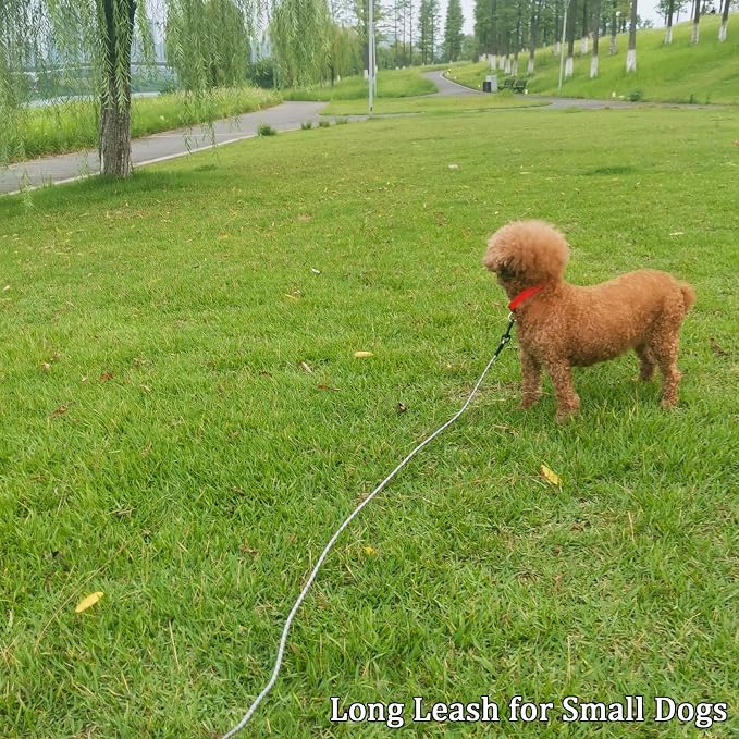 WYuZe 1/5" X-Small Dog Leash Rope 6ft 10ft 15ft, Lightweight Reflective Cat Leash, Ultra-Thin Puppy Walking Training Lead for Chihuahua/Yorkie/Tiny Dogs Up to 15lb (15FT x1/5", Black)