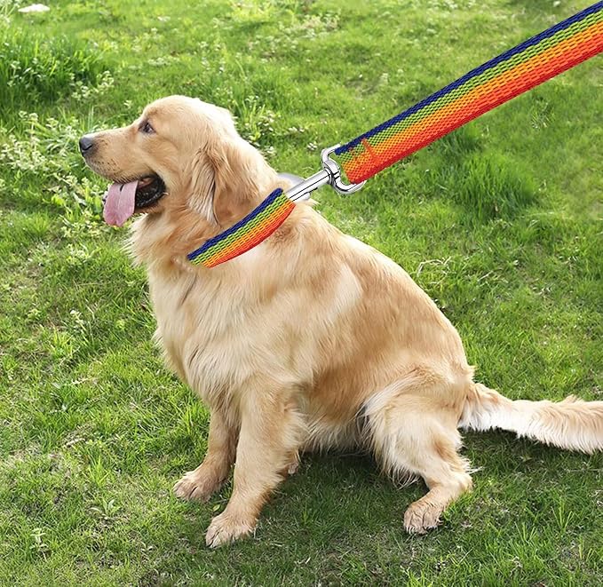 TAIAN 4FT/5FT/6FT Strong Dog Leash, Nylon Dog Leashes for Small Medium Large Dogs (Rainbow, 1 in x 15 ft)