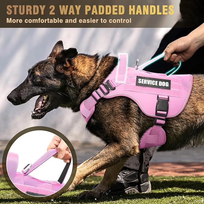 WINSEE Tactical Dog Harness for Medium Dog, Heavy Duty Service Working MOLLE Vest with 10 Pet Patches, 2X Metal Buckle Vest for Training Hunting Walking