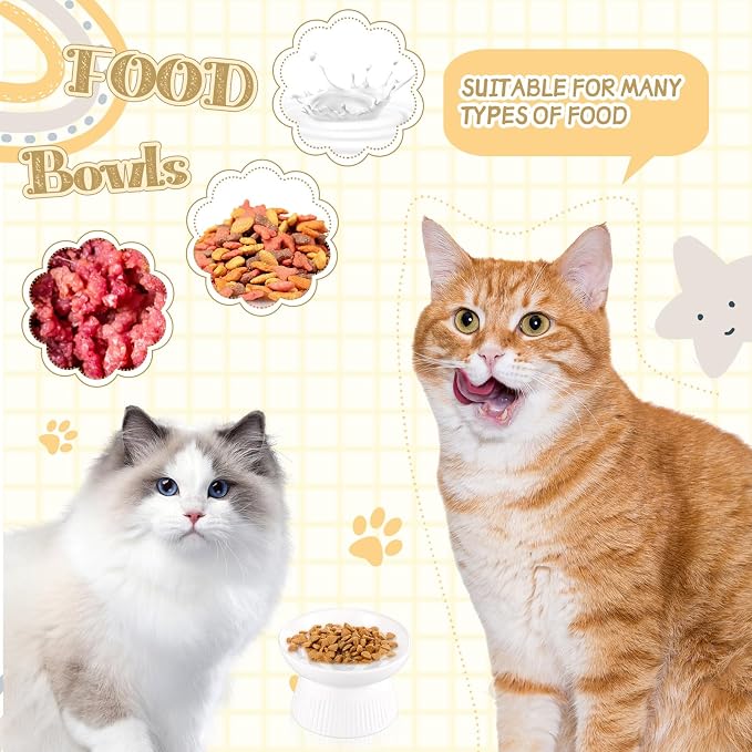 Layhit 2 Pack Raised Slow Feeder Cat Bowls Ceramic Elevated Cat Food Bowls Anti Vomiting Slow Feeder for Dog and Kitten for Dry and Wet Food(White)