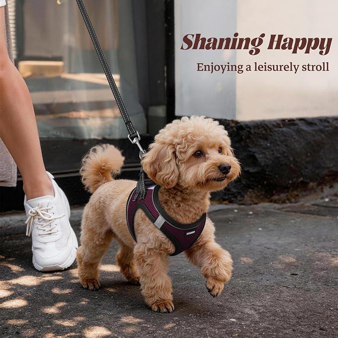 YIMEIS Dog Harness and Leash Set, No Pull Soft Mesh Pet Harness, Reflective Adjustable Puppy Vest for Small Medium Large Dogs, Cats (Grape Purple, X-Small (Pack of 1)