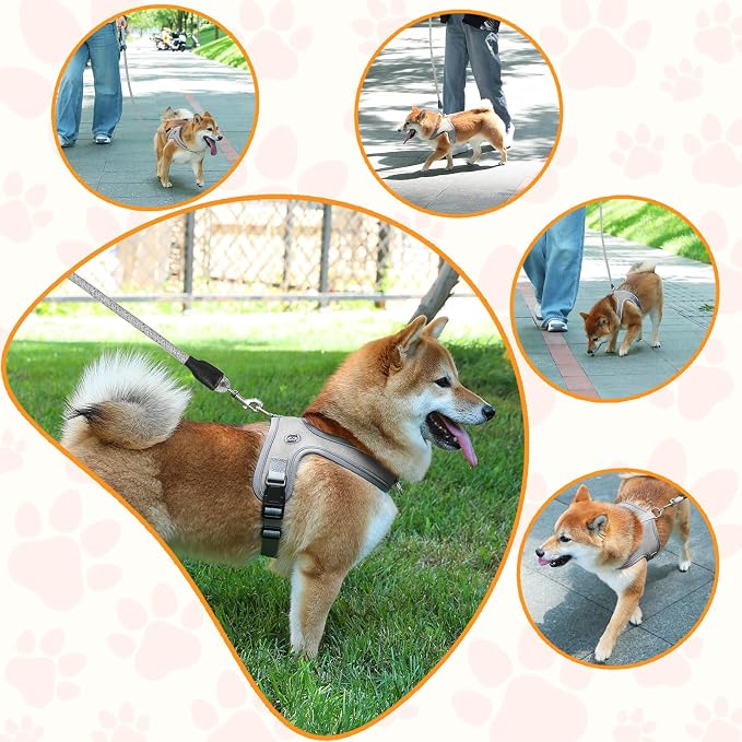 Dog Harness and Leash Set, No Pull Saddle Style Pet Harness, Breathable Mesh Adjustable Reflective Dog Vest for Dogs and Cat Medium Small Harness 2 D-Rings (Grey, XS)