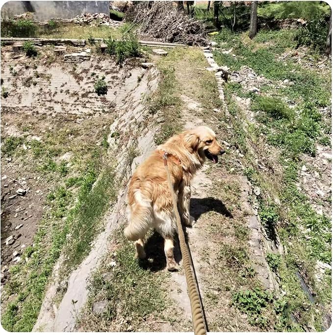 BTINESFUL Heavy Duty Cotton Dog Leash 3FT/ 5FT/ 10FT, Strong Rope Leash Soft Handle Dog Traction for Large Medium Dogs Hiking, Camping, Exploring, Walking(1/2" x 10ft, Brown)