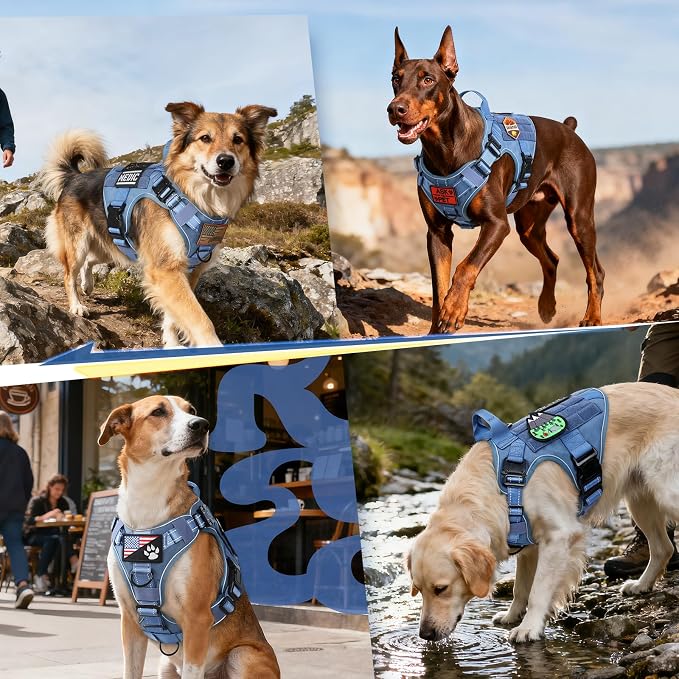 rabbitgoo Tactical Dog Harness for Large Dogs, No Pull Upgraded Reflective Heavy Duty Molle Vest with Handle, Adjustable Military Service Dog Vest for Walking Hiking Training, Blue, XL