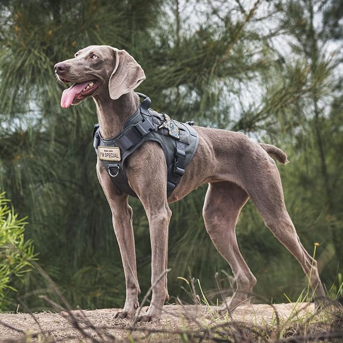 OneTigris Tactical Dog Training Vest No Pull Harness for Dogs,Adjustable Dog Hiking Harness Working Vest(Grey, Large)