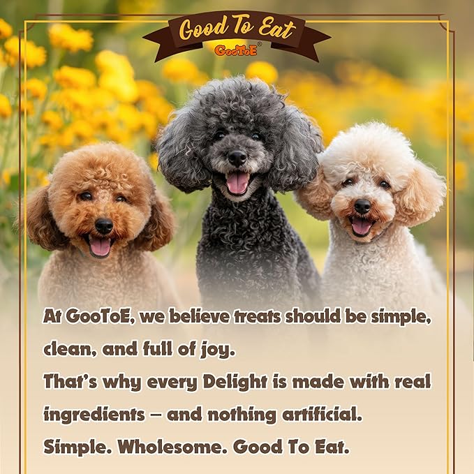 Gootoe Turkey Tendons for Dogs –All-Natural, Hypoallergenic Dog Treats, Rawhide Alternative, Long Lasting Puppy Chews, Healthy Dog Treats for Small Breeds, Twists (S), 10 Count Pack