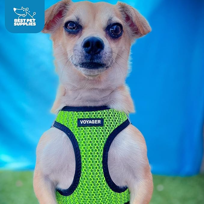Best Pet Supplies - All Weather Mesh/Plush, Reflective, No Pull Harness for Small, Medium Dogs, Cats - Secure with Hook & Loop Fastener, Buckle, Double D-Rings - Lime Green 2-Tone, XL