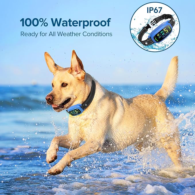 FAFAFROG Dog Bark Collar, Rechargeable Smart Collar, Anti Barking Training Collar with 5 Adjustable Sensitivity Beep Vibration, Bark Collar for Large Medium Small Dogs (Blue)