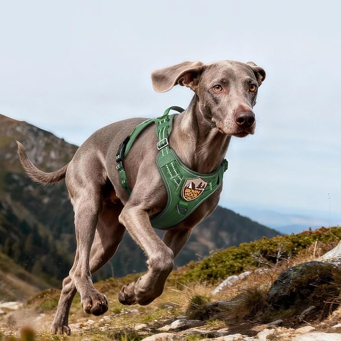 rabbitgoo Tactical Dog Harness for Large Dogs No Pull Adjustable Military Vest with Handle MOLLE Reflective Heavy Duty Dog Vest for Walking Training Hunting Outdoor Working Medium Size Dog Green L
