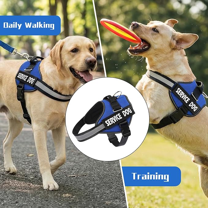 MUMUPET Service Dog Vest, No Pull Reflective Adjustable Harness with Handle, Soft Breathable Padding for Medium Dogs, 2 Removable Velcro Patches (Blue, M)
