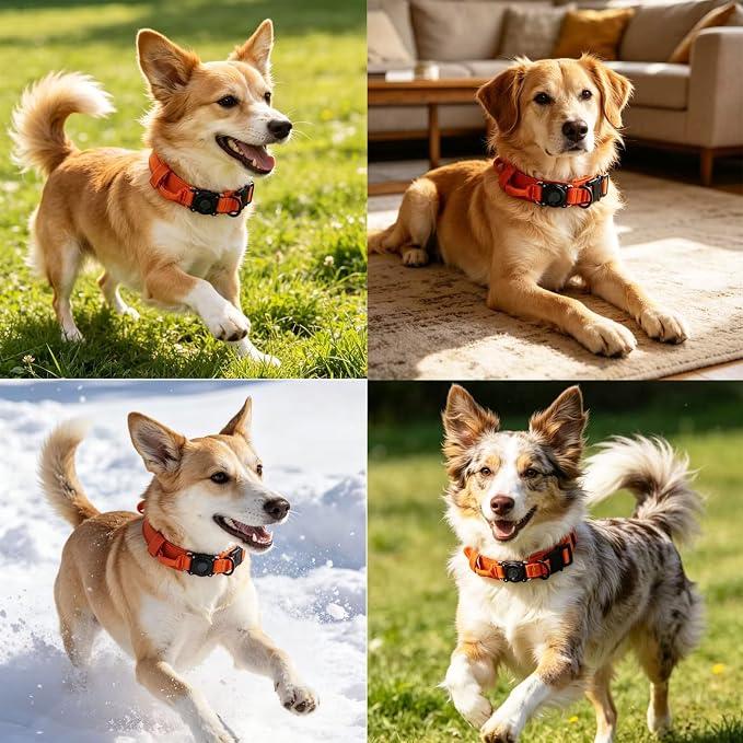Upgraded AirTag Dog Collar,Waterproof Tactical Dog Collar with AirTag Holder, Control Handle and Metal Buckle,Heavy Duty Dog Collars for Large Dogs(Orange,M