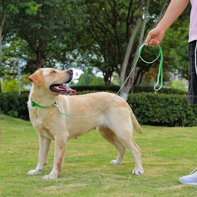 Waterproof Dog Leash, 5/6 FT Durable Odor-Proof Dog Leashes with Strong Metal Hooks Fits Small Medium or Large Dogs (Green, 5FT - 3/4 inch Width)
