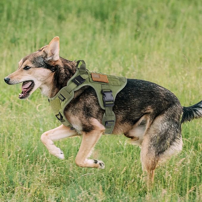 rabbitgoo Tactical Dog Harness for Small, Heavy Duty Pet Harness with Handle, No-Pull Service Vest Small Breed, Adjustable Military Dog Vest for Training Hunting Walking, Green, S