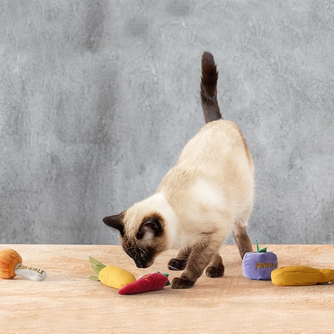 Pawsible 5 Pack Catnip Toys for Indoor Cats - 100% Organic Catnip Filled, No Cotton, Durable Teething Kicker Toys for Kittens, Food-Shaped Plush Chew Toys