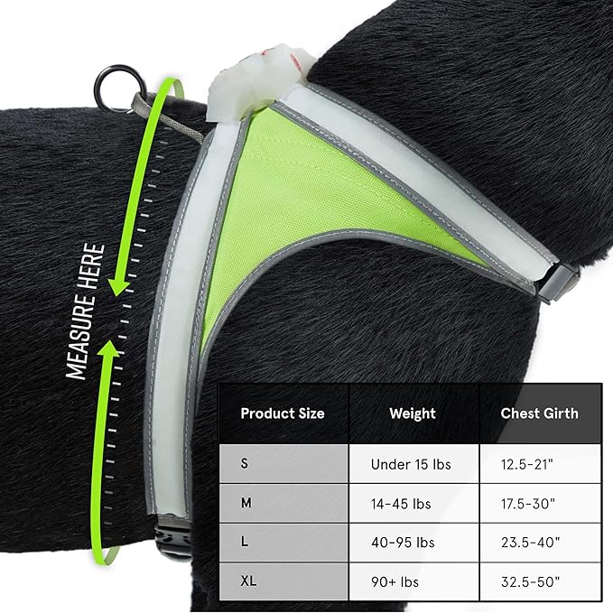 Noxgear LightHound (Medium) + Wrist Light – Illuminated and Reflective Harness for Dogs Including Multicolored LED Fiber Optics (USB Rechargeable, Adjustable, Lightweight, Rainproof)