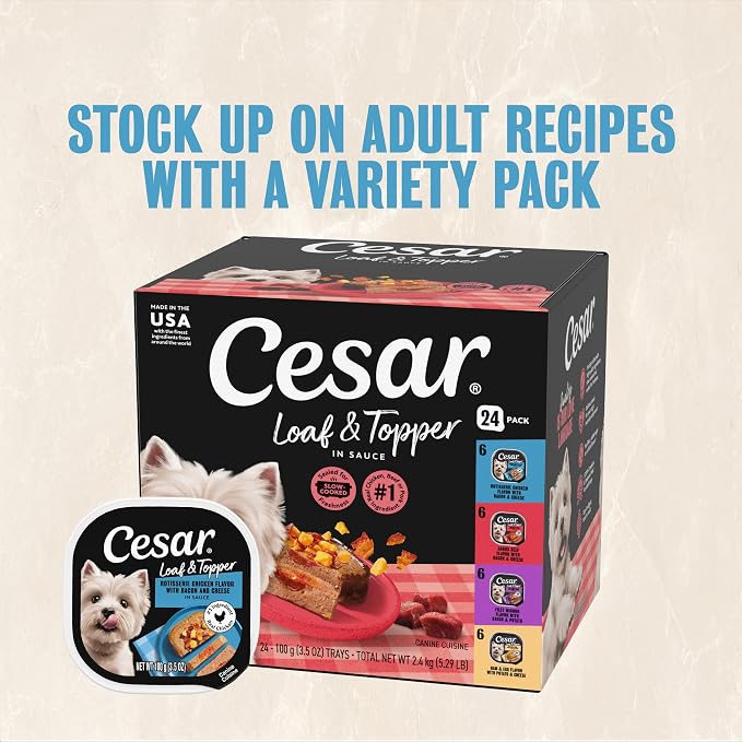 Cesar Loaf in Sauce Wet Dog Food Rotisserie Chicken Flavor with Bacon & Cheese and Filet Mignon Flavor with Bacon & Potato Variety Pack, 3.5 oz. Easy Peel Trays, 12 Count (Pack of 2)