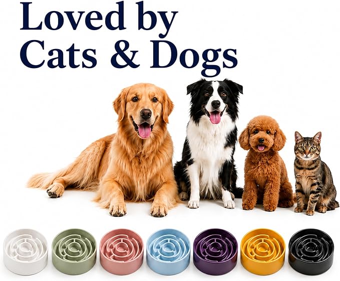 Ceramic Slow Feeder Dog Bowls with Anti-Slip, Slow Feeder & Non-Slip Design, Boredom and Anxiety Reducer, Suitable for All Breed Dogs and Cat (Ceramic-Purple)