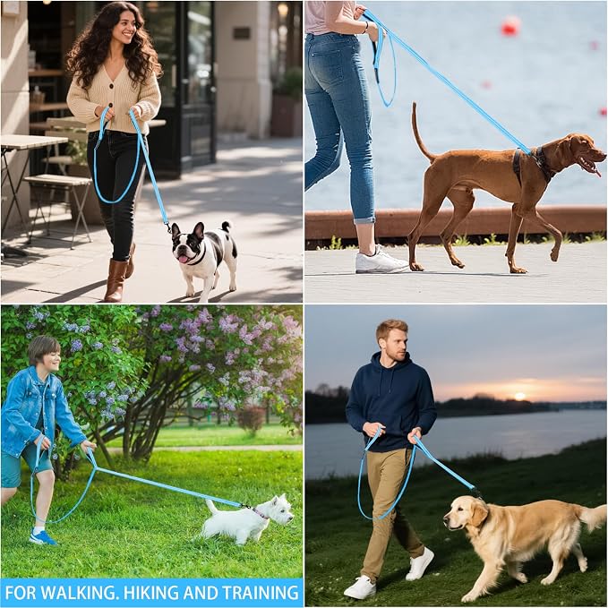 Reflective Dog Leash with Double Handle, Dog Leash 4 FT Long, Supports Medium and Large Dogs, Heavy Duty for Walking, Running, and Training, Blue