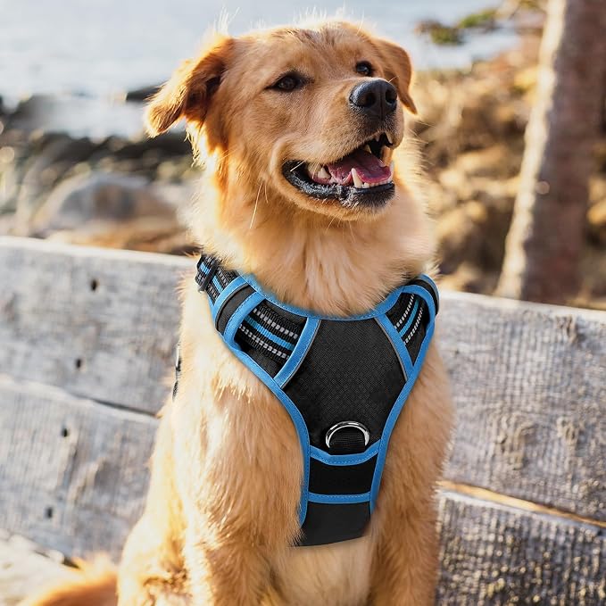 rabbitgoo Dog Harness for Large Dogs, 3 Buckles Easy On & Off No Pull Pet Vest, Soft Padded Walking Pet Harness with Control Handle, Adjustable and Reflective, Black & Sky Blue, XL