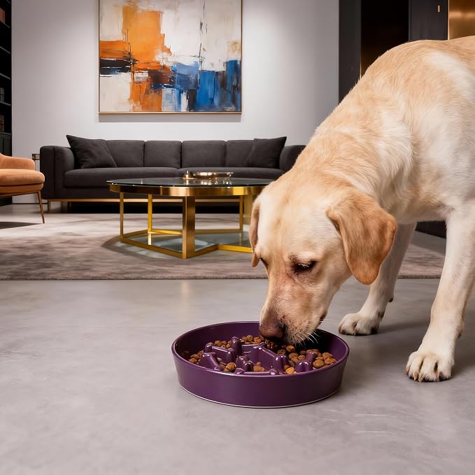 Ceramic Slow Feeder Dog Bowls, Ceramic Slow Feeder Maze Dog Food Bowl, Slow Eating Dog Bowl and Slow Feeder Dog Bowl Anti-Choking for Daily Pet Feeding (Purple Bone)